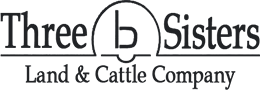 Aged Natural Beef Logo